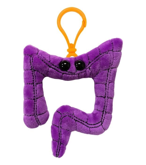 Colon Key Chain