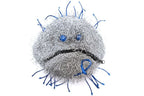 Colorectal Cancer (Malignant Neoplasm)