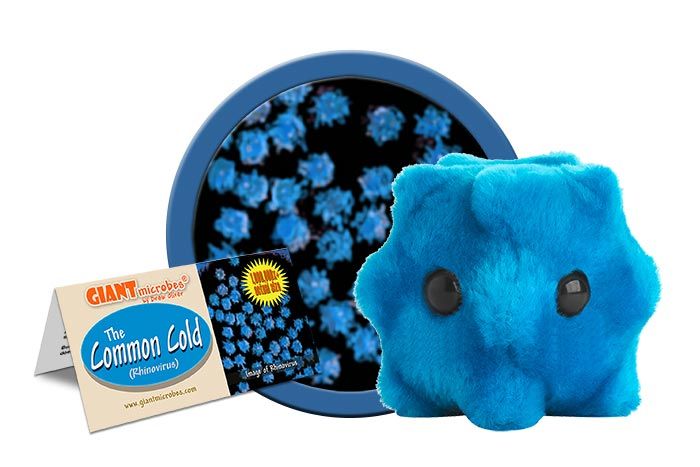 Gigantic Common Cold