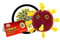Coronavirus COVID-19 (SARS-CoV-2)