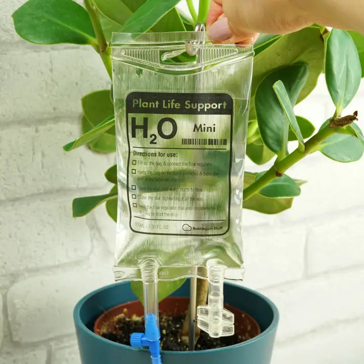 Mini Plant Life support