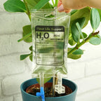 Mini Plant Life support