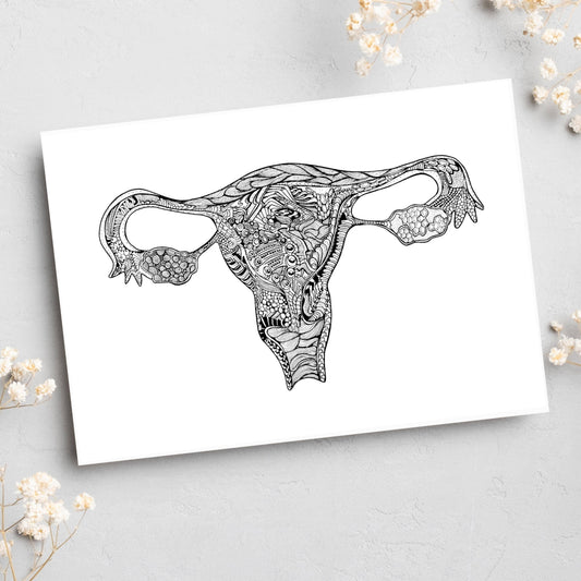 New Uterus / BLANK - Simple Anatomy (#8014)