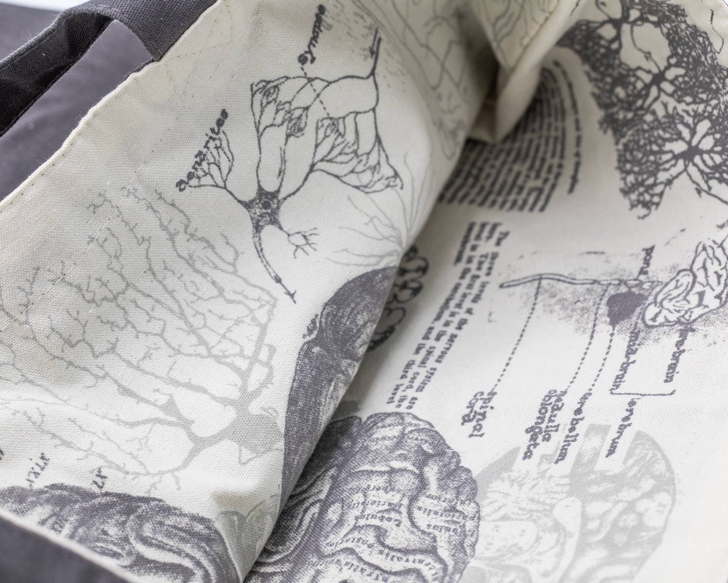 Brain Anatomy Canvas Shoulder Tote Bag