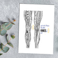 Knees - Any Occasion (#8124)