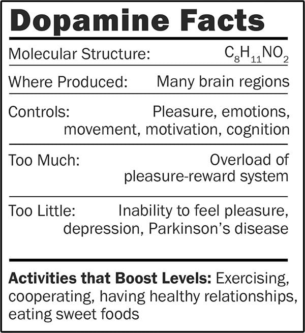 Dopamine Keychain