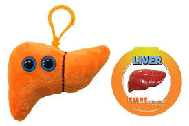 Liver Keychain