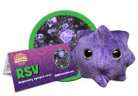 RSV (Respiratory Syncytial Virus)