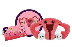 Uterus