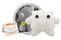 White Blood Cell (Leukocyte)