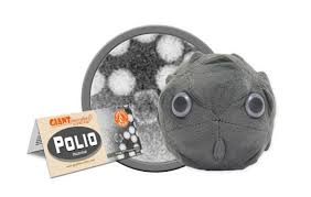 Polio (Poliovirus)