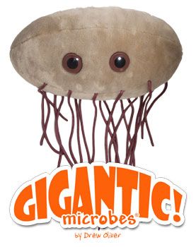 E. Coli Gigantic 17"