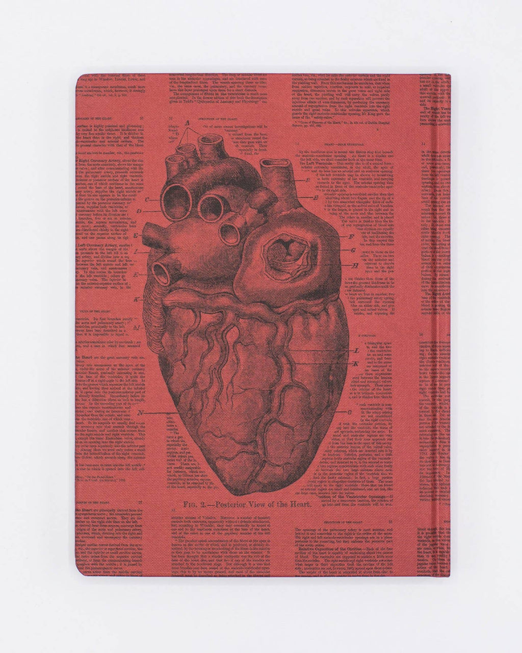 Anatomical Heart Hardcover - Lined/Grid Page Notebook
