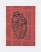 Anatomical Heart Hardcover - Lined/Grid Page Notebook