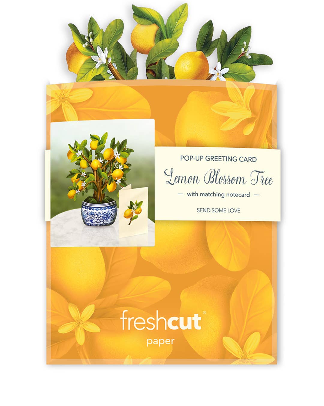 Mini Lemon Blossom Tree