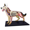 4D German Shepard Dog
