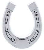 The Lucky Little Horseshoe Charms in a Basket