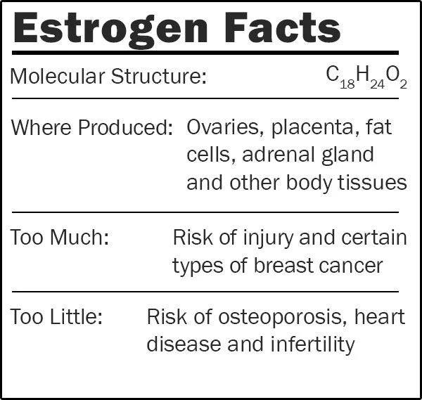 Estrogen