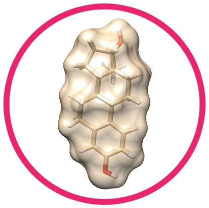 Estrogen