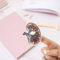 Anatomical Kidney sticker