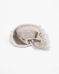 Skull Profile
