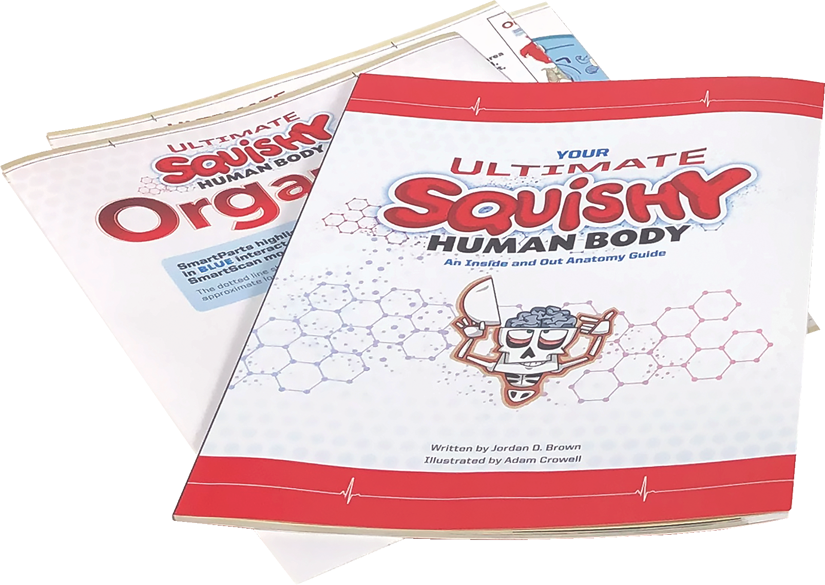 Ultimate Squishy Human Body Lab