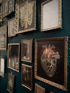 Anatomy prints