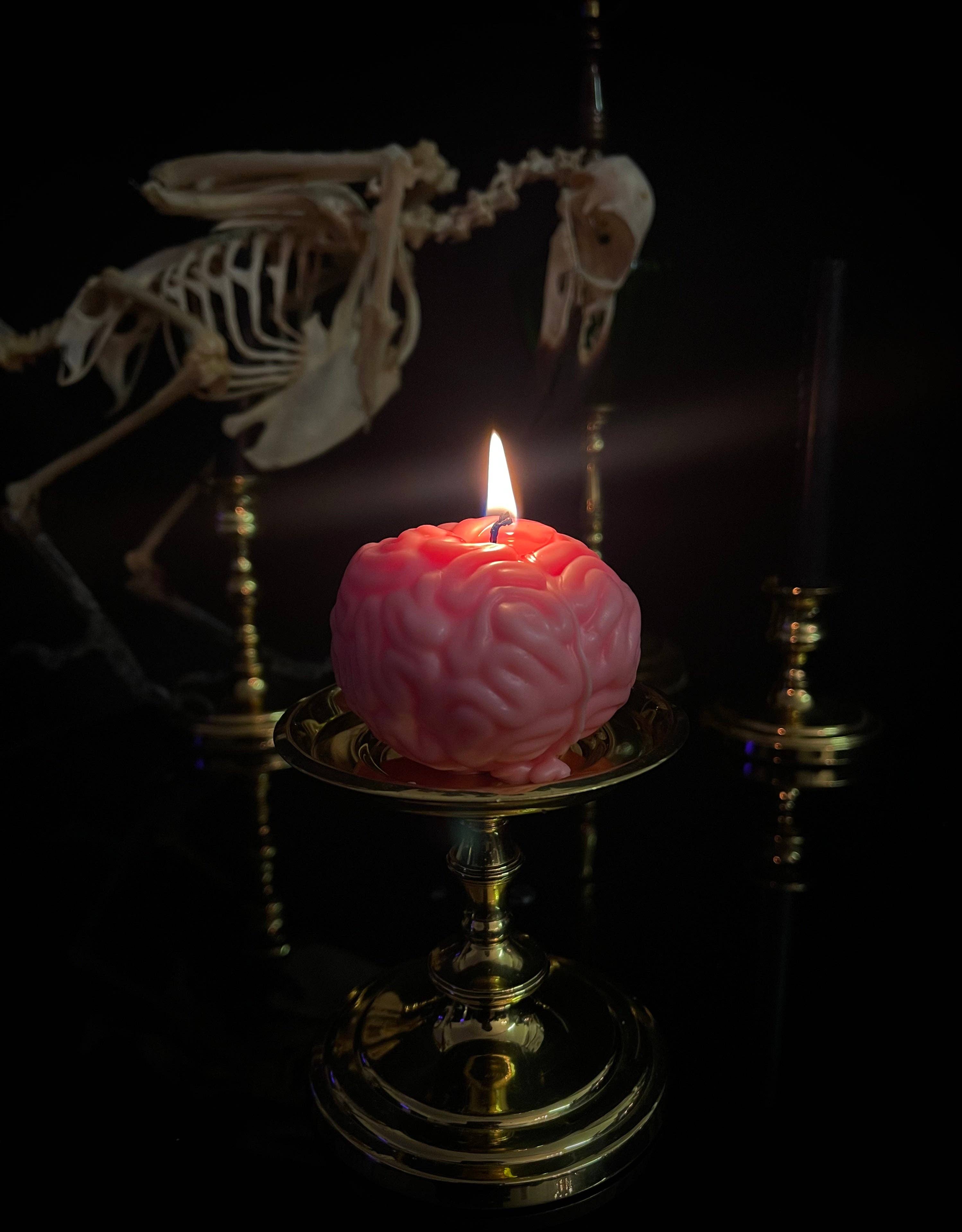 Brain Candle