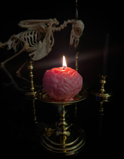 Brain Candle