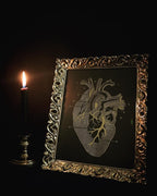 Anatomy prints