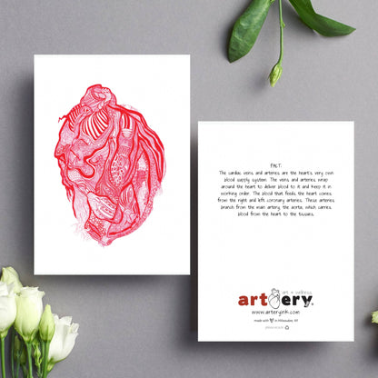 Vein & Artery Heart Everyday Greeting Card - Simple Anatomy