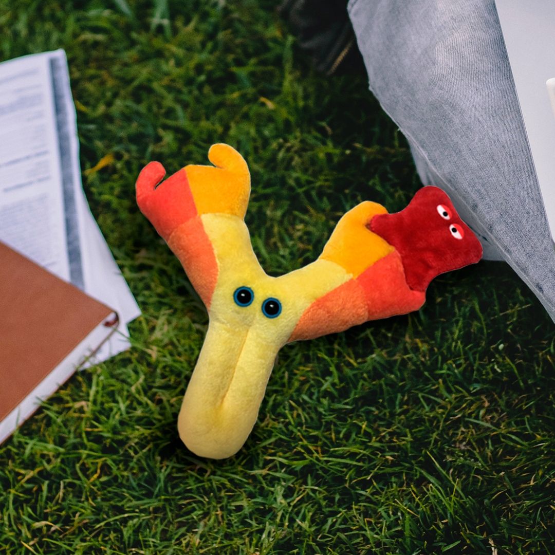 Antibody (Immunoglobulin)