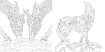 Millie Marotta's Brilliant Beasts Coloring Book