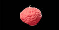 Brain Candle