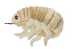Flea (Ctenocephalides felis)