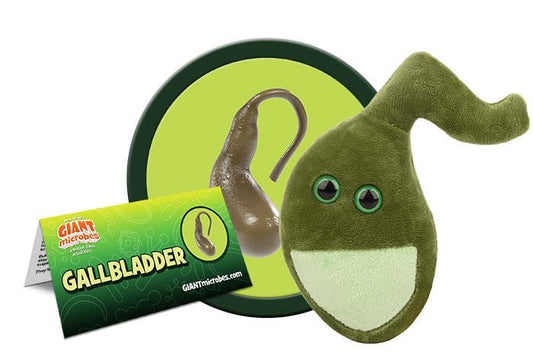 Gallbladder