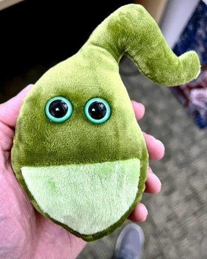 Gallbladder