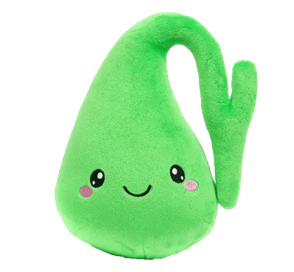Gallbladder Plushie