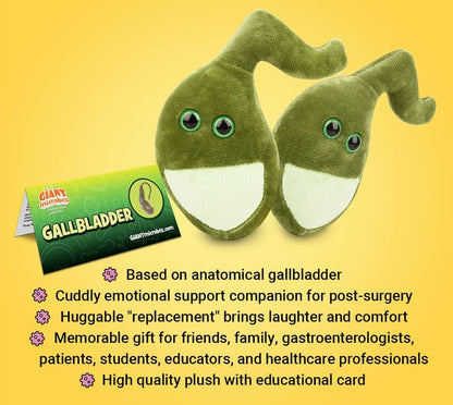 Gallbladder