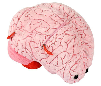 Brain With Mini Cells