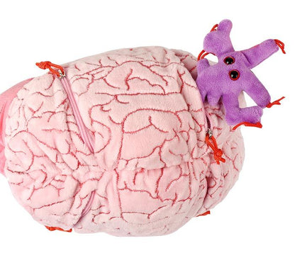 Brain With Mini Cells