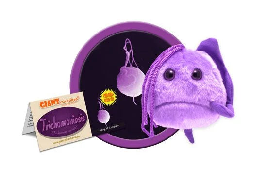 Trichomoniasis