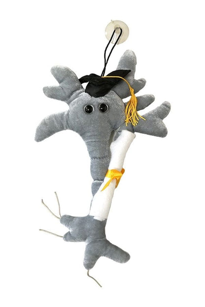 Diploma Brain Cell