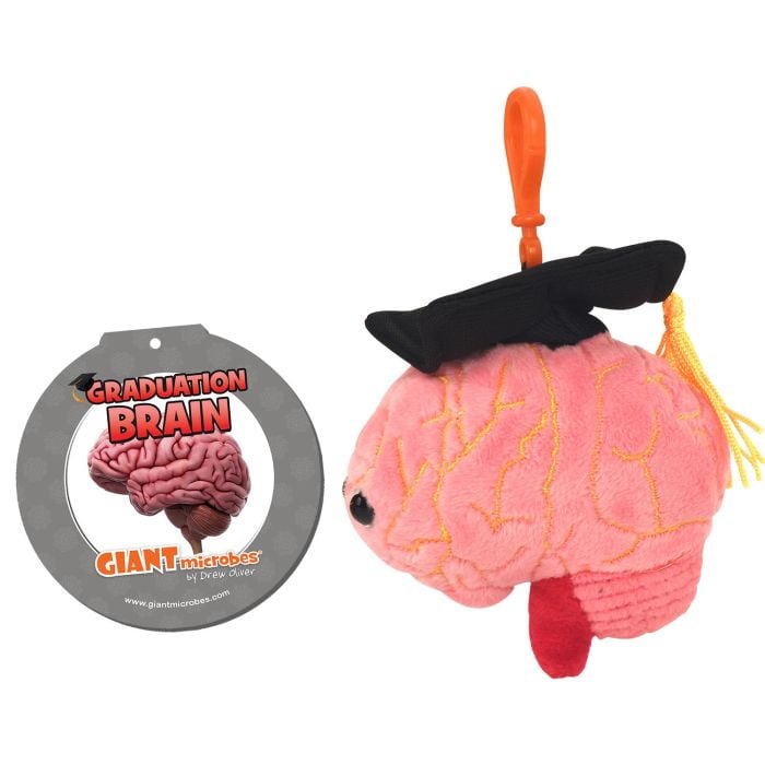 Graduation Brain Key Chain
