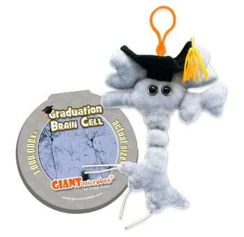 Graduation Brain Cell Keychain