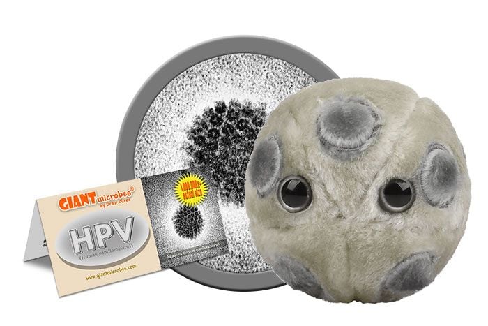 HPV (Human Papillomavirus)