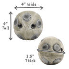 HPV (Human Papillomavirus)