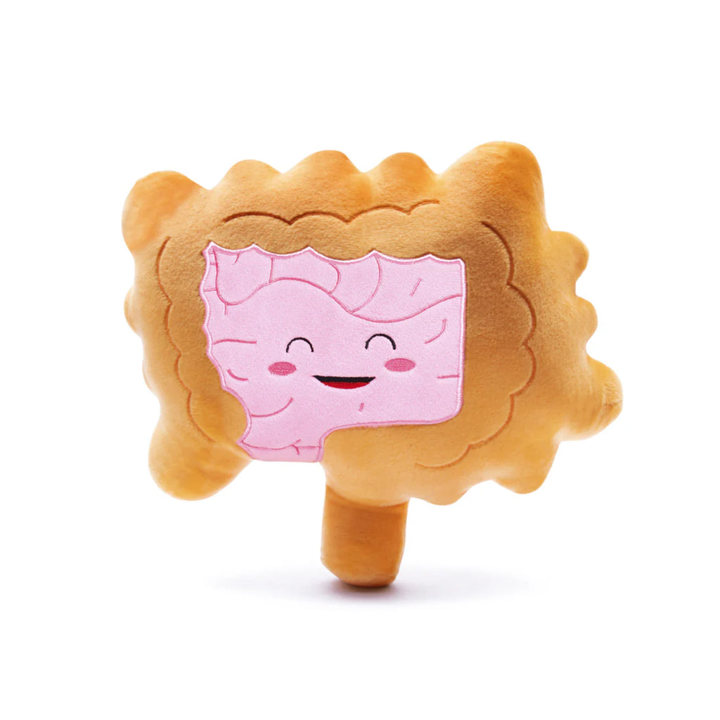 Intestines Plushie