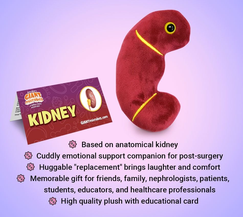 Kidney