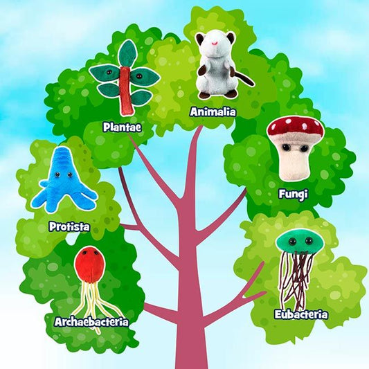 Kingdom of Life